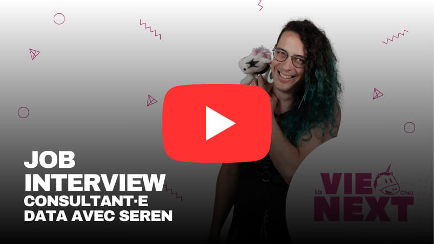 Job Interview Seren | Le métier de Consultant·e Data